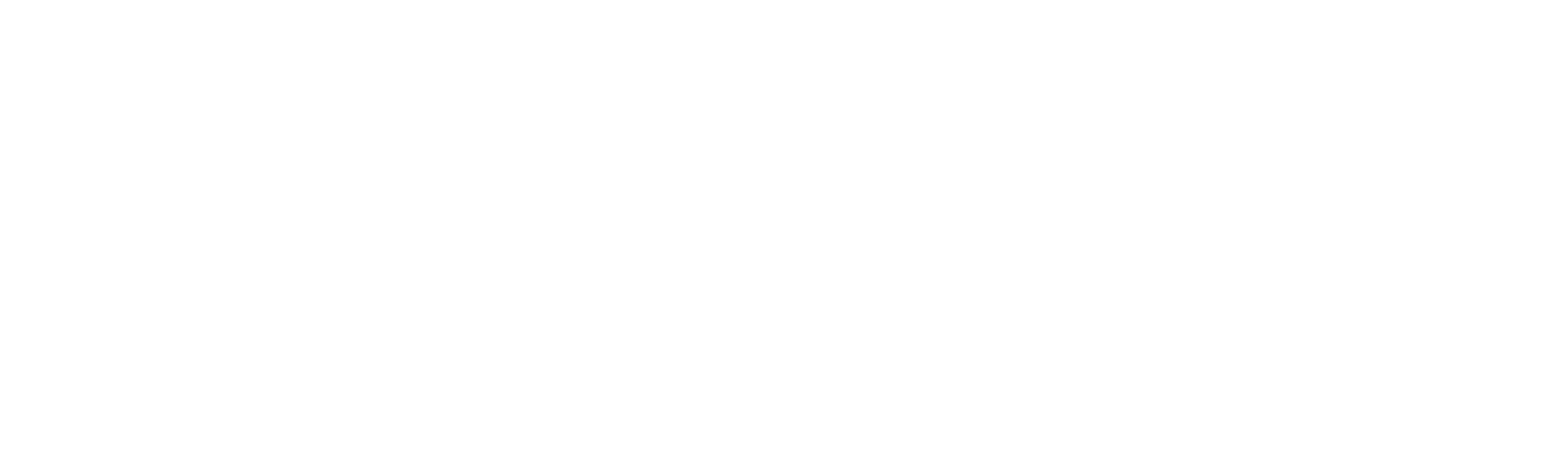physio-ost_Logo_weiss
